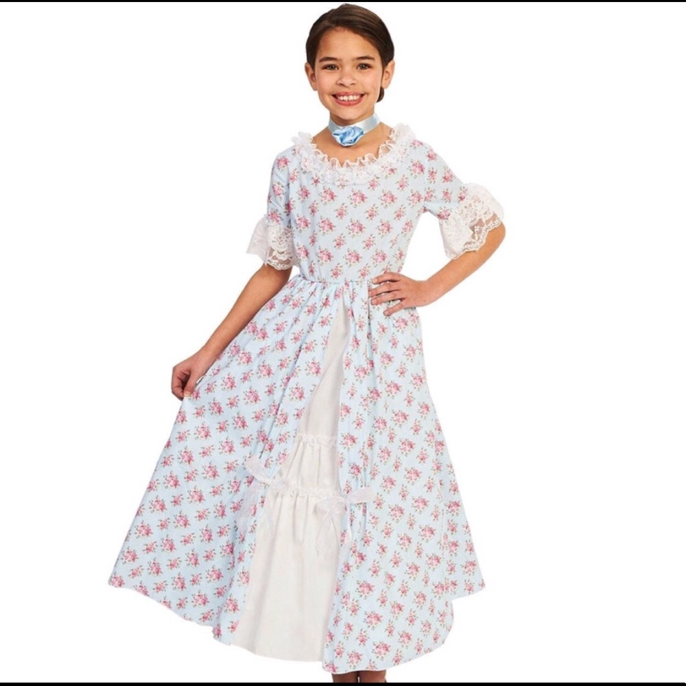 Marie Antoinette or Colonial Dress